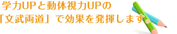 学力UPと動体視力UPの「文武両道」で効果を発揮します。