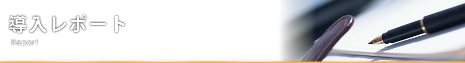 導入レポート