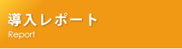 導入レポート